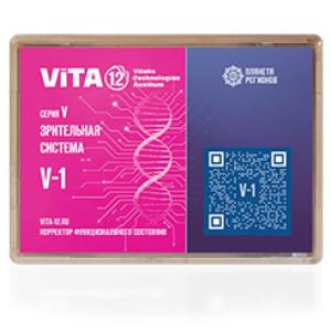 V-1 FSC Visual system