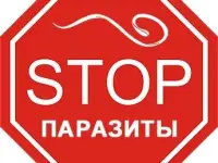 Осторожно, паразиты! Как защитить себя от паразитов с помощью КФС