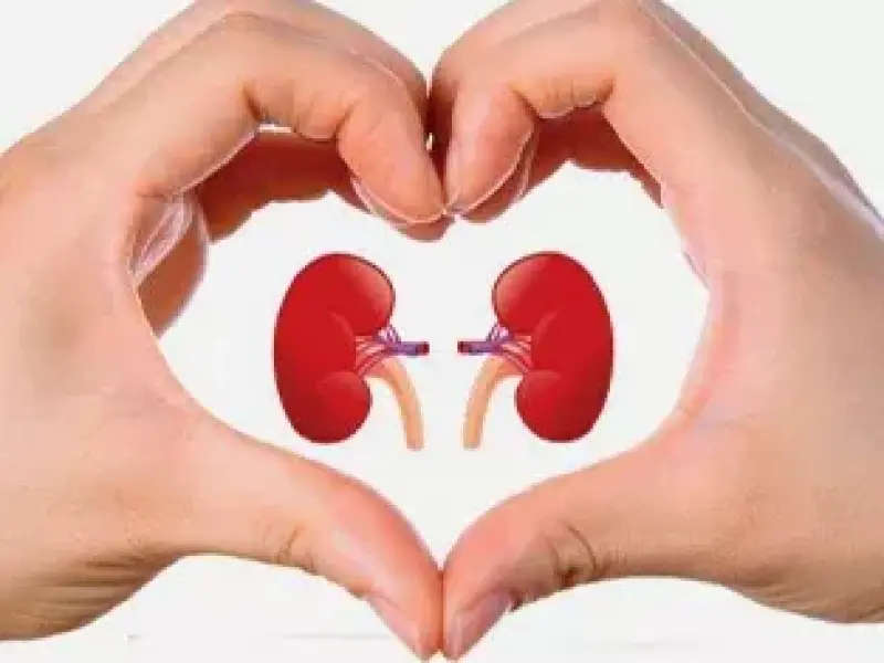 Urolithiasis and CFS