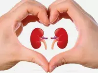 Urinary stone disease and CFS